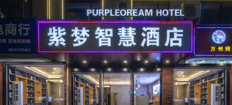 紫梦智慧酒店(海南工商学院店)图片