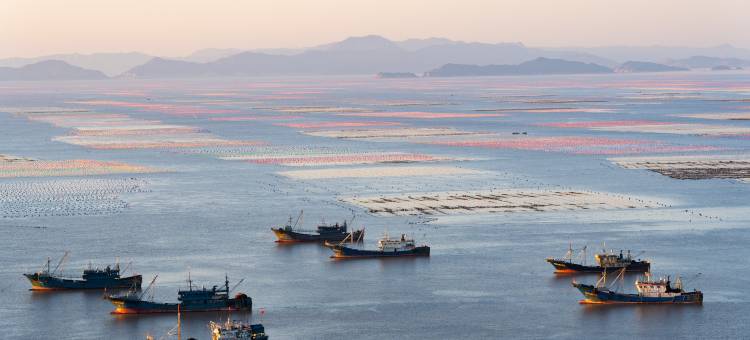 霞浦云水栈·揽日观海悬崖民宿(三沙东壁店)图片