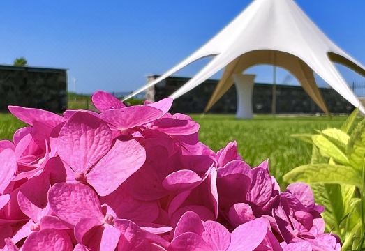 Sea & Sun Estate Over view