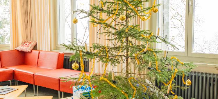 格林德瓦青年旅馆(Grindelwald Youth Hostel)图片