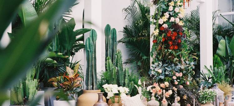 大理绯莫摄影艺术民宿图片