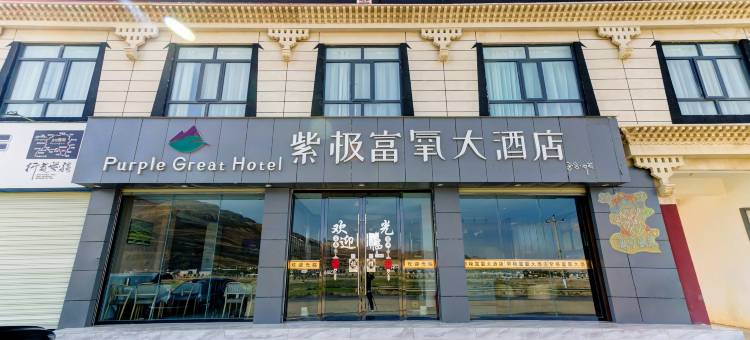 定日紫极富氧大酒店(珠穆朗玛大道店)图片