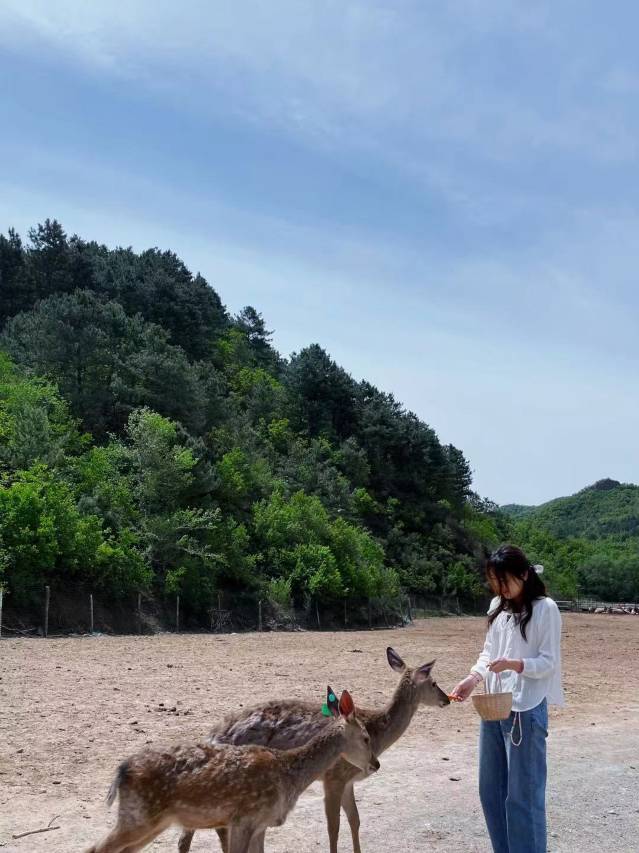 悦榕山间民宿图片