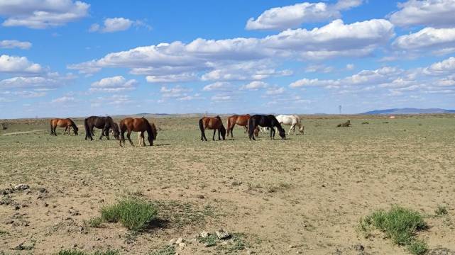 火山御都民宿(乌兰哈达火山地质公园店)图片