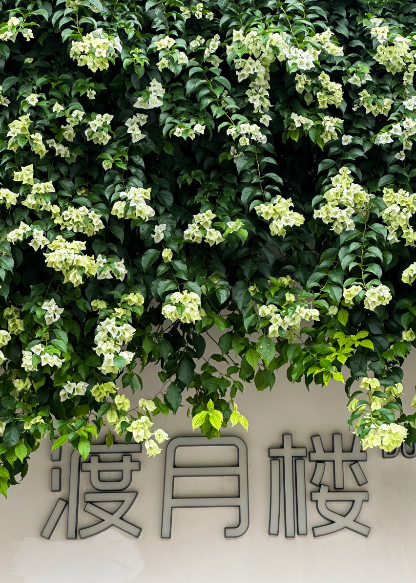 DU YUE LOU BOUTIQUE HOTEL Hotel Overview