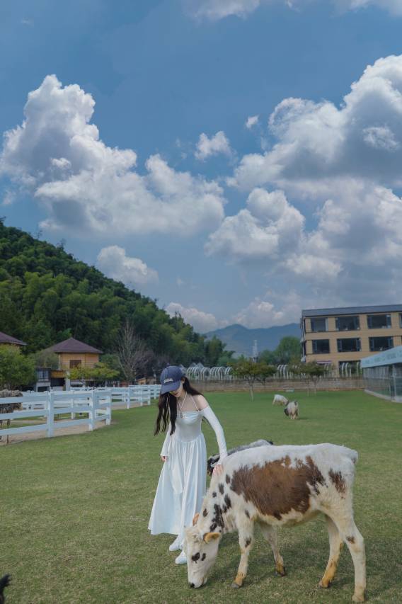 莫牛牛萌宠·亲子小牧场垂钓度假庄园(安吉店)图片