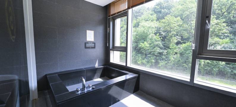 苏松酒店(Hotel Susung)图片