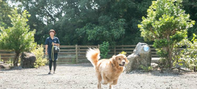 Fiore志摩酒店(Fiore Shima)图片