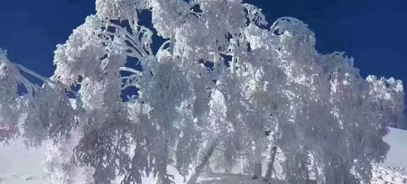 亚布力三号别墅图片