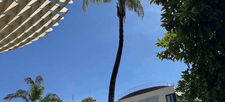 阿巴塞维利亚酒店(Abba Sevilla)图片