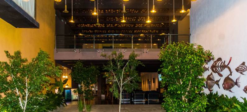 坦加拉海滩金珍珠旅馆(Golden Pearl Tangalle Beach)图片