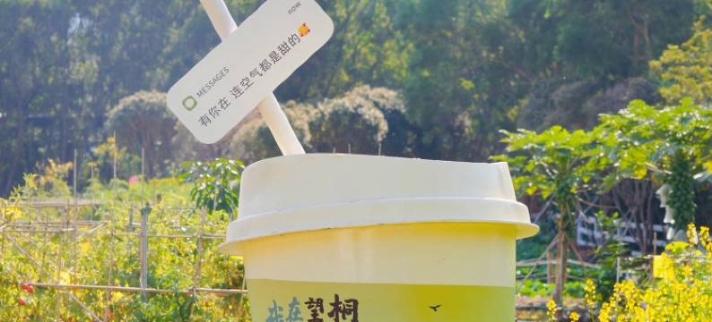 望桐露营地(梧桐山风景店)图片