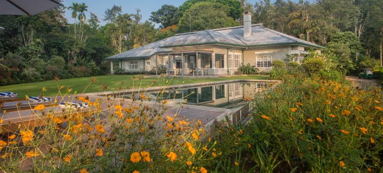 九霄云栖(Nine Skies)图片