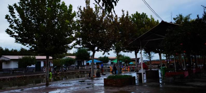 中都渔村民宿图片