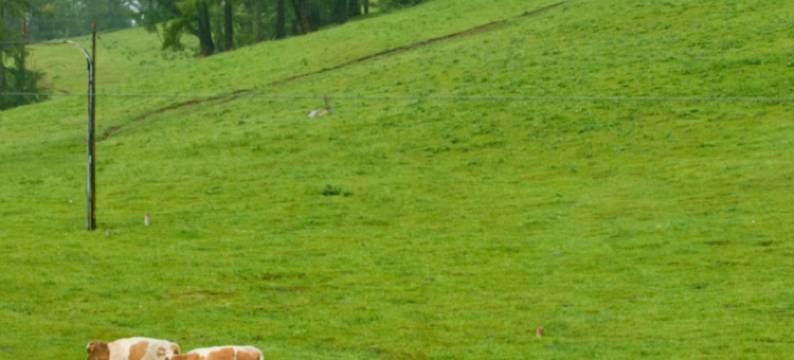 河畔·Garden设计师庭院度假民宿(禾木桥店)图片