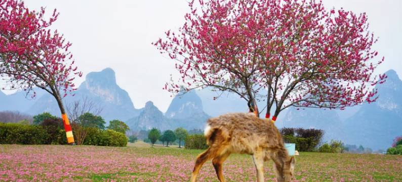 水岸帝景民宿(晴岚景区店)图片