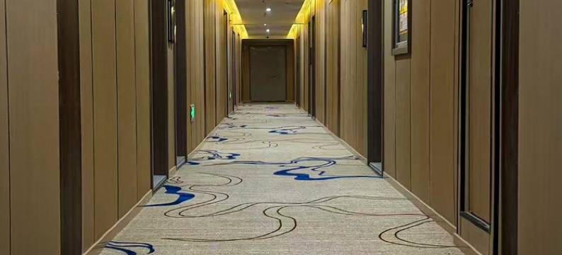 迭部芸际大酒店图片