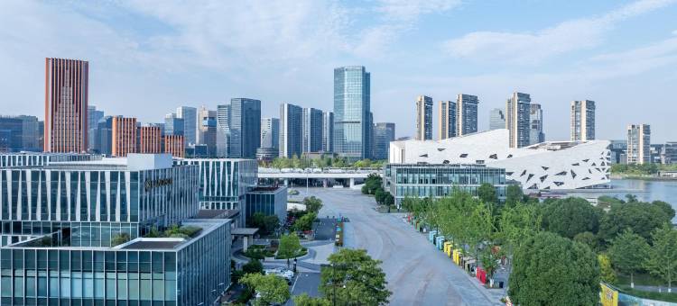 杭州艺尚雷迪森广场酒店(临平南高铁站店)图片