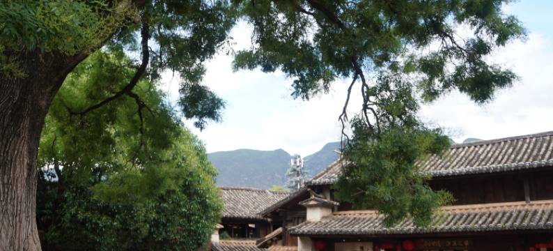 望台听风客栈图片