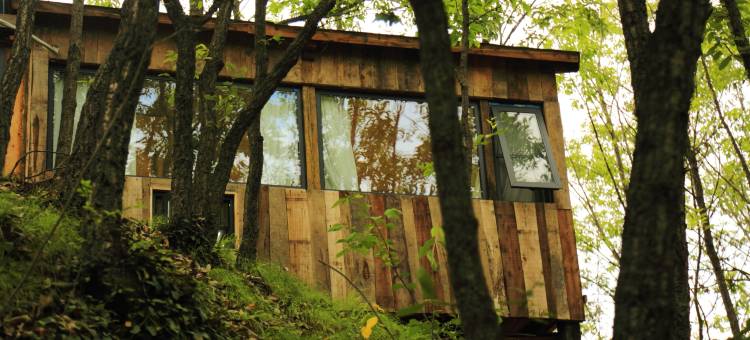 陌也院子民宿图片