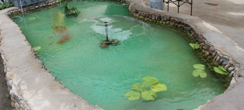 本溪衍水山居民宿图片