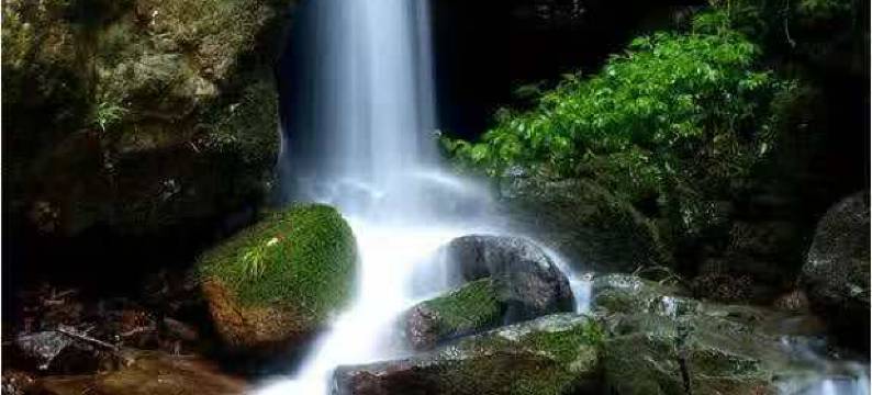 安吉迈岚·密藏山谷·漂游观星图片