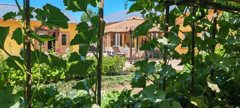 北舍小院(北极村店)图片