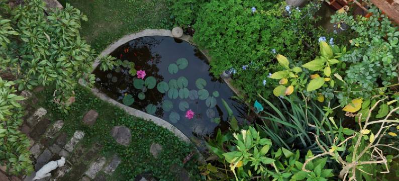 巍山古城若隅北院民宿图片