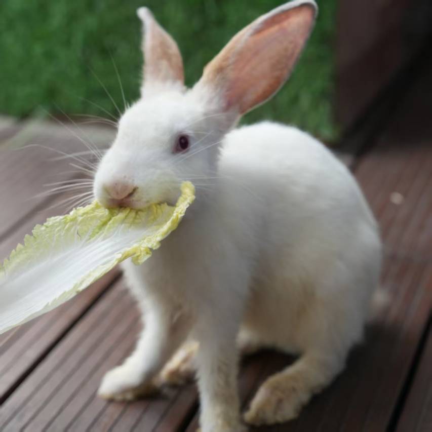 宁波紫璋台度假酒店图片