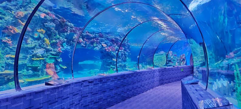 星汐海景酒店公寓(海底世界店)图片