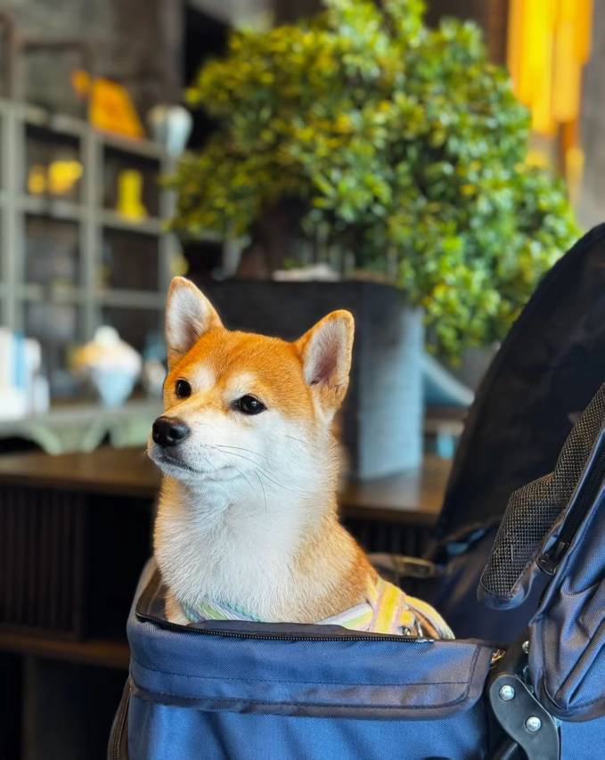 如家酒店·neo(鄂尔多斯东胜居然之家店)图片