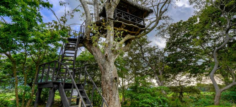 罗望子湖格兰德酒店(Grand Tamarind Lake)图片