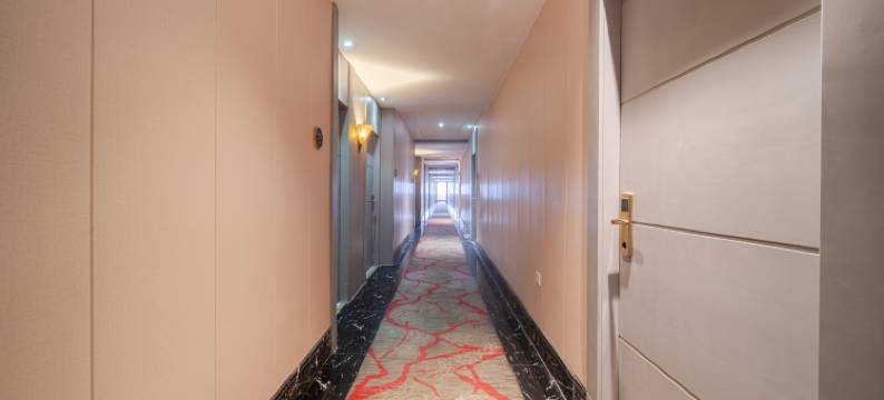 速8酒店(合肥长江西路科学大道店)图片