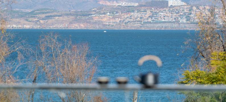 FuFu馥府海景民宿(洱海生态廊道店)图片