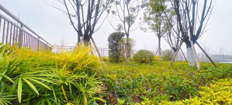 格林东方酒店(贵阳龙洞堡国际机场店)图片