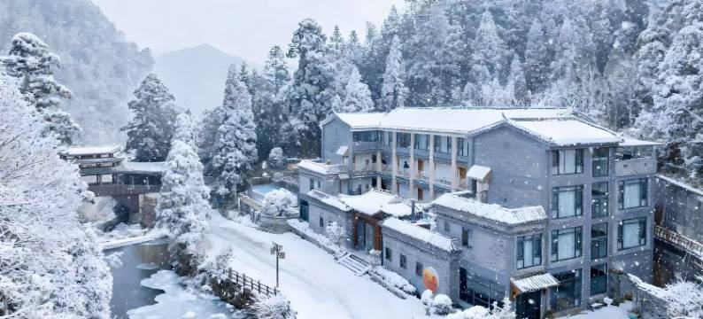 景宁梅俚雪乡温泉酒店(云中大漈店)图片