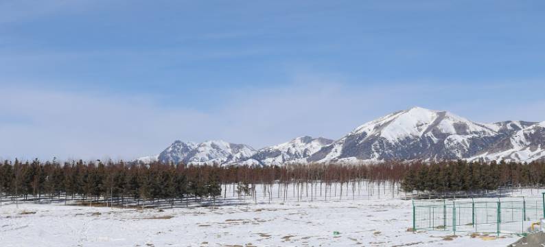 桔子酒店(赛里木湖新游客中心店)图片