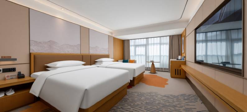 郑州高新戴斯温德姆酒店图片