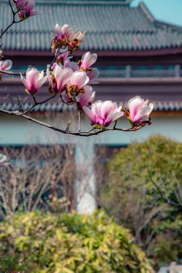 无锡融创施柏阁酒店图片