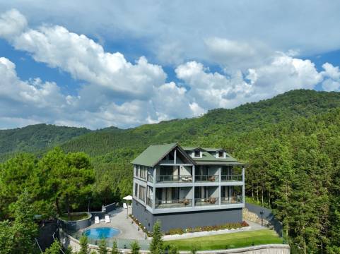 马头山森林温泉度假区图片