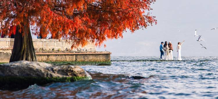 大理·晞岸云朵XI AN·VILLA一线海景度假美宿(龙龛码头洱海店)图片