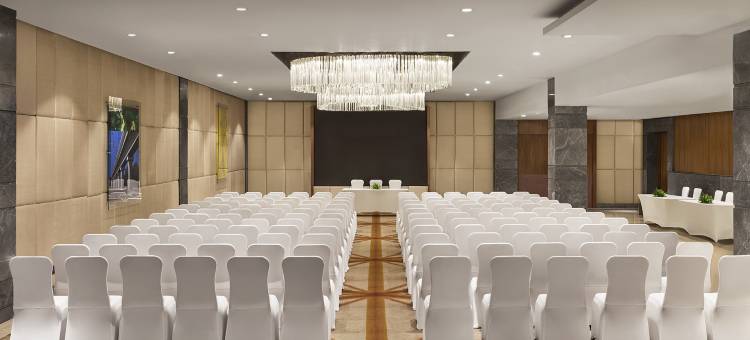 新德里空港JW万豪酒店(JW Marriott Hotel New Delhi Aerocity)图片
