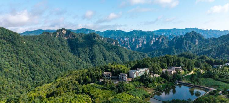 虚度·ANNICA旅游度假民宿(张家界国家森林公园中门店)图片