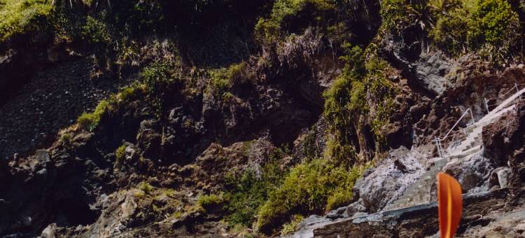 里德宫，贝梦德酒店，马德拉岛(Reid's Palace, A Belmond Hotel, Madeira)图片