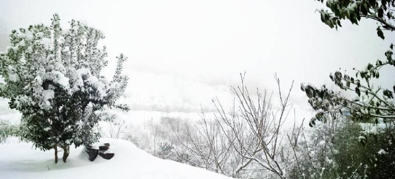 张家界山顶顶民宿图片