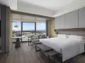 藝術中心景觀大床房