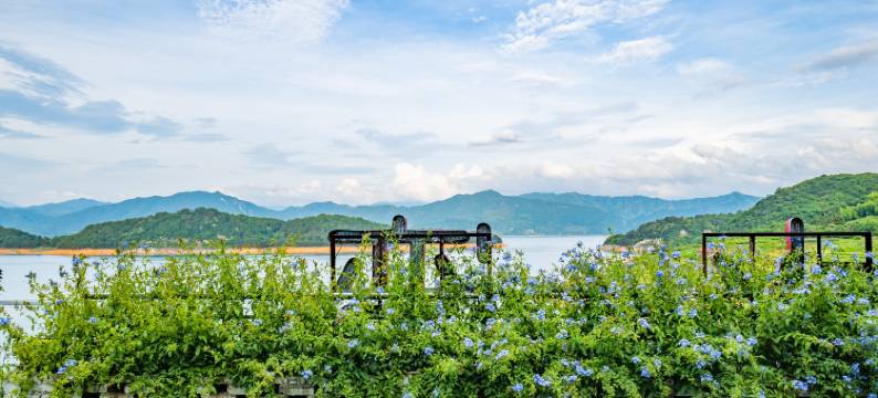 东江湖云水湾酒店图片