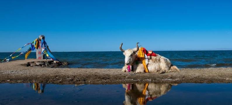 日出湖景民宿图片