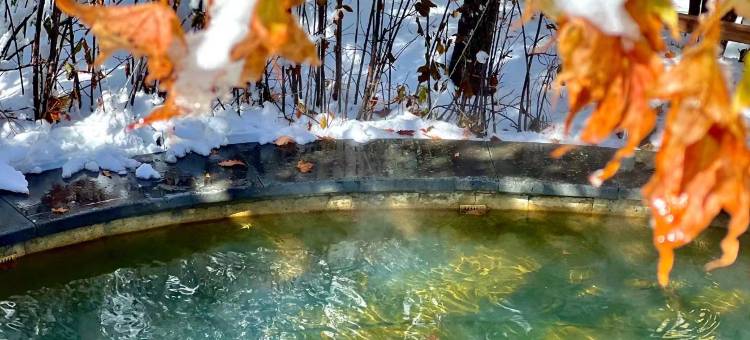 长白山温泉皇冠假日酒店图片