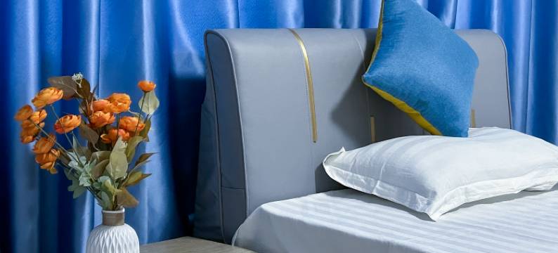 老支书苗家民宿图片